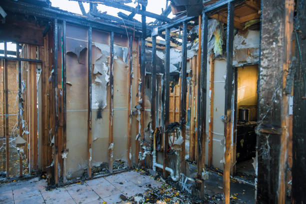 Professional Fire Damage Removal technician working in Maple Valley, WA