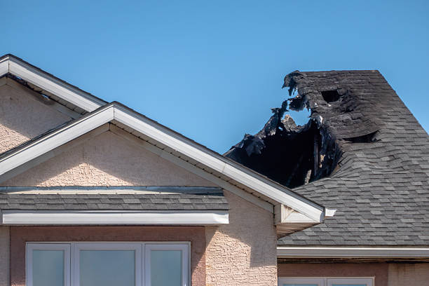 Top rated local Fire Damage Removal specialists in Maple Valley, WA